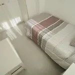 Rosa 산트 페레 페스카도르